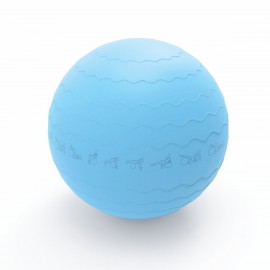 Pure Gym Ball